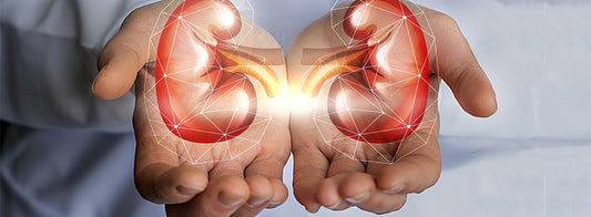 Diabetes and Kidney Disease